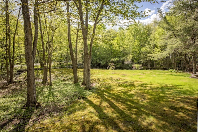 10 Trues Rd, Lincolnville, ME 04849 - view of grassy yard featuring a forest view