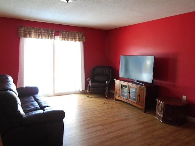 living area featuring a textured ceiling and wood finished floors