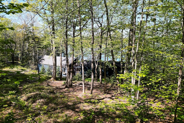 29 Good Day Dr, South Bristol, ME 04568 - view of local wilderness