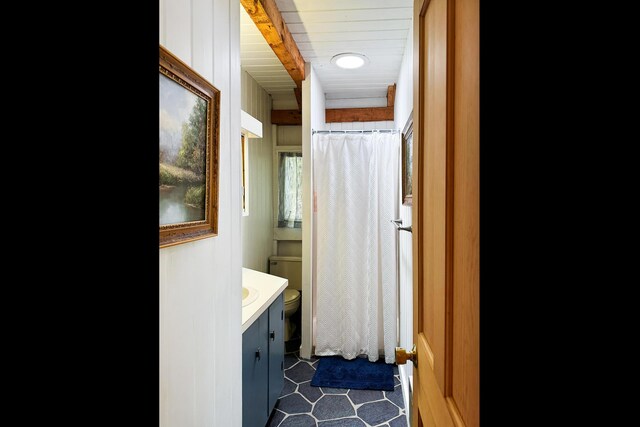 29 Good Day Dr, South Bristol, ME 04568 - bathroom with vanity, wood ceiling, a shower with shower curtain, and toilet