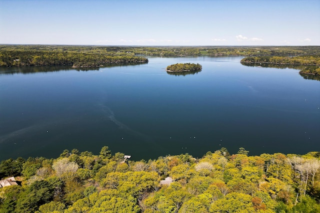 29 Good Day Dr, South Bristol, ME 04568 - aerial view of a forest and a nearby body of water