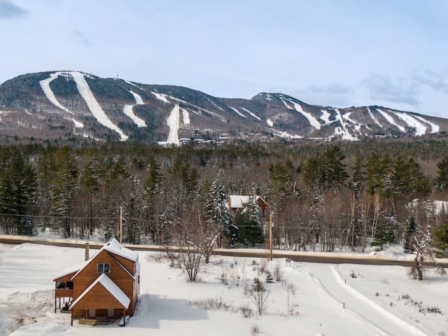 property view of mountains with a wooded view