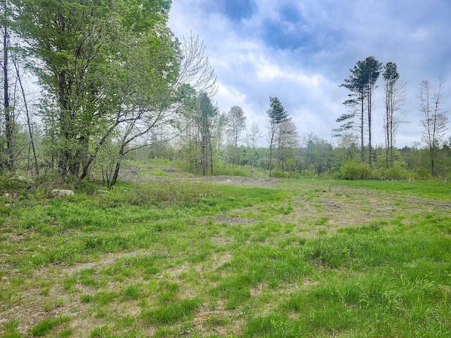 211 Pleasant River Rd, Milo, ME 04463 - view of local wilderness