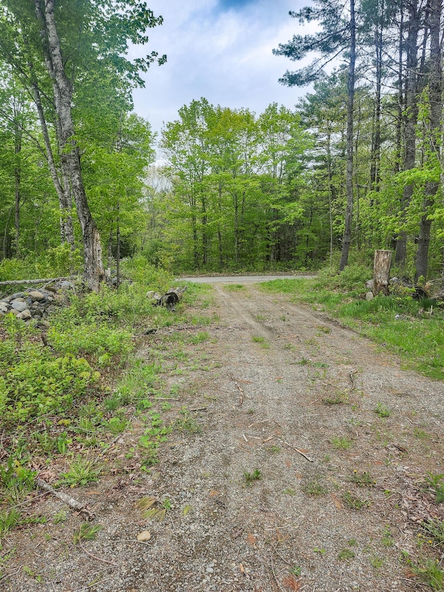 211 Pleasant River Rd, Milo, ME 04463 - view of street featuring a wooded view