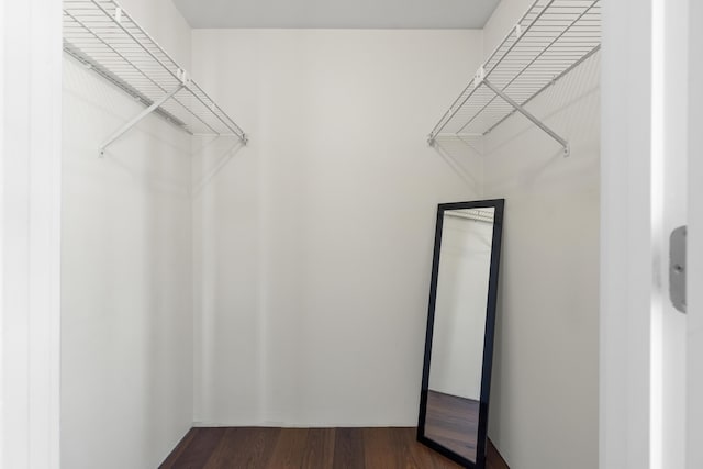 spacious closet with dark wood-style flooring