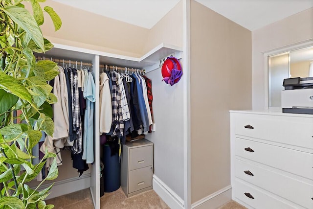 walk in closet featuring carpet flooring