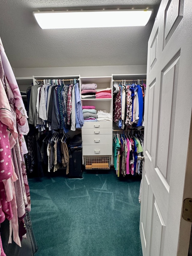 walk in closet with carpet flooring