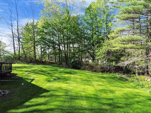 16 Libby Hill Rd, Gardiner, ME 04345 - view of green lawn