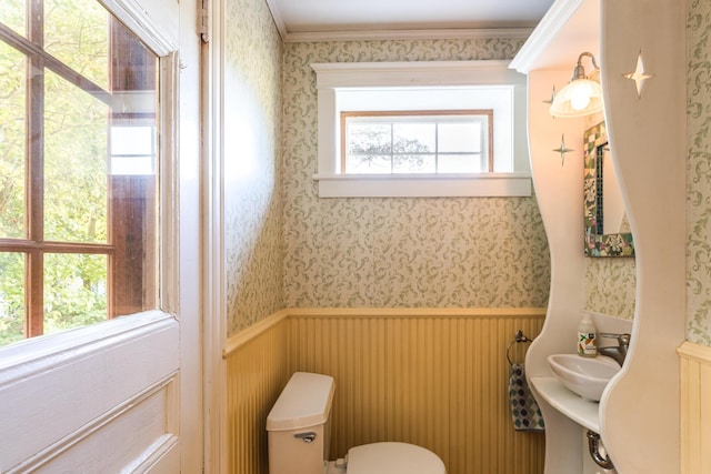 493 Main St, Eliot, ME 03903 - half bath featuring wallpapered walls, wainscoting, a sink, and toilet