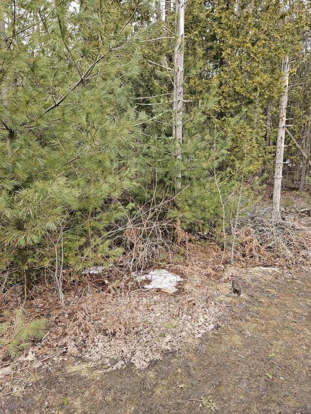 M1L36-3 Main St, Palmyra, ME 04965