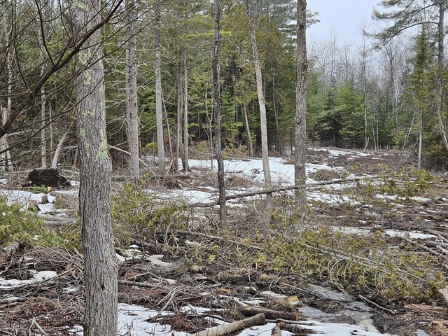 M1L36-3 Main St, Palmyra, ME 04965