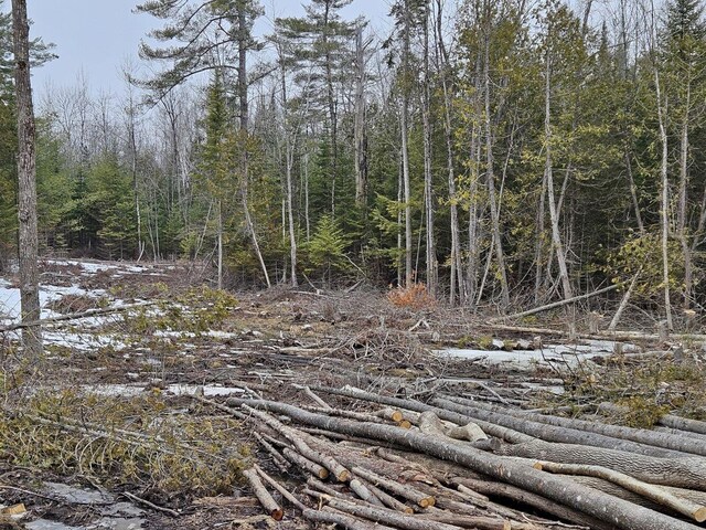 M1L36-3 Main St, Palmyra, ME 04965