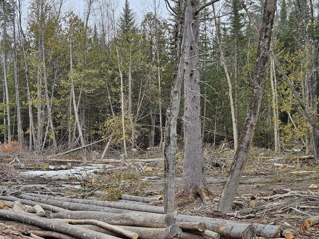 M1L36-3 Main St, Palmyra, ME 04965