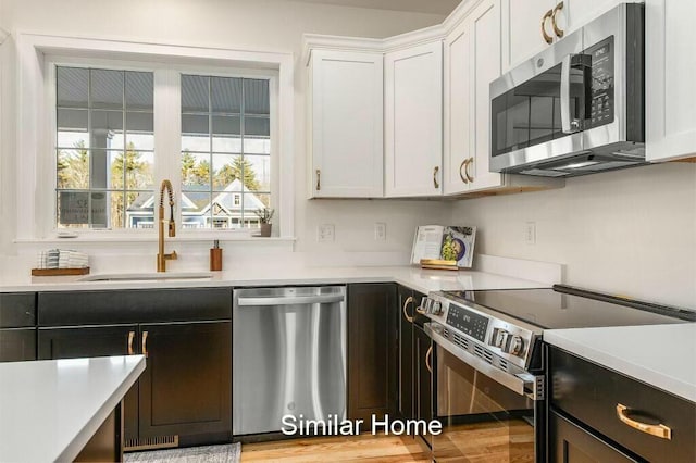 kitchen featuring white cabinets, stainless steel appliances, light countertops, and a sink