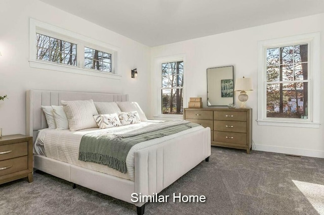 bedroom with multiple windows, carpet flooring, and baseboards