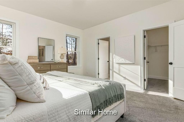 carpeted bedroom featuring a closet, baseboards, and a spacious closet