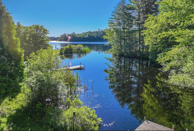 property view of water featuring a forest view and a boat dock