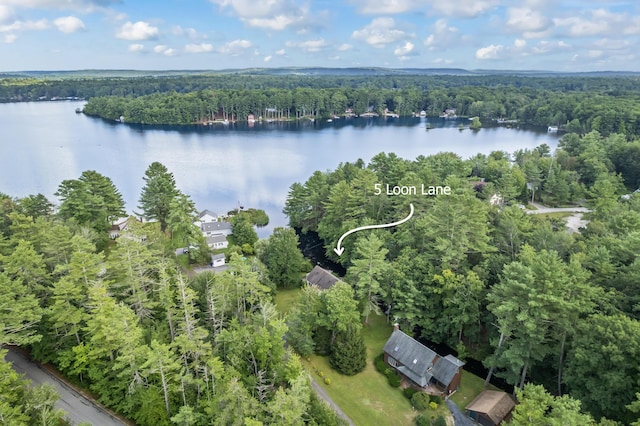 drone / aerial view featuring a water view and a wooded view