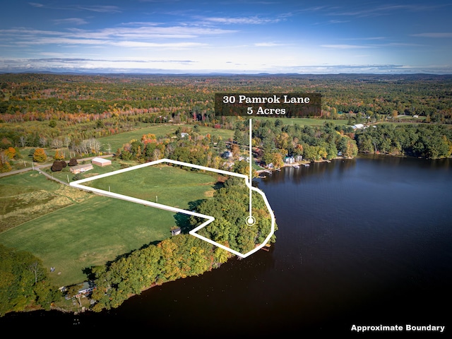 aerial view featuring a water view and a view of trees