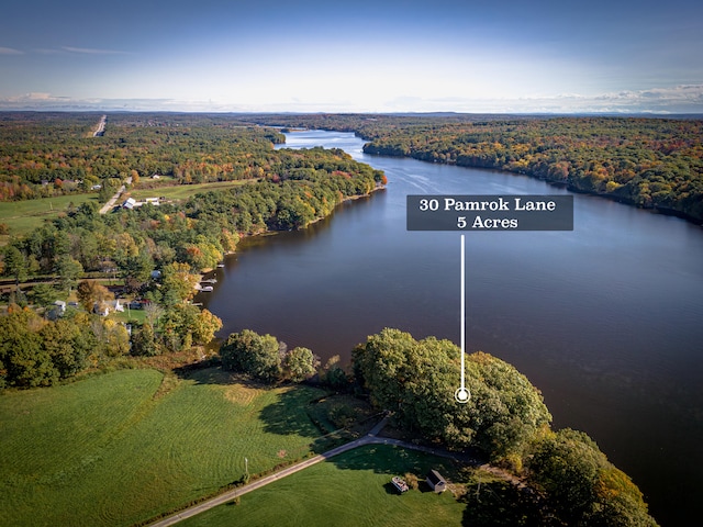 bird's eye view featuring a water view and a forest view