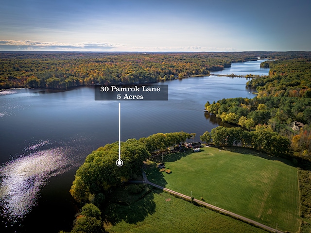 aerial view with a water view and a view of trees