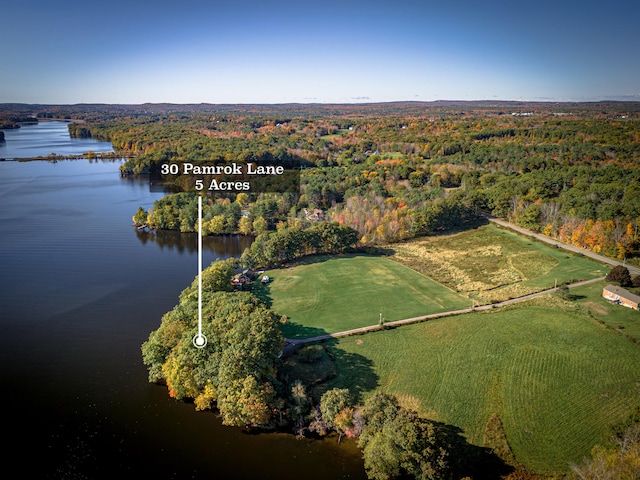 drone / aerial view featuring a water view and a wooded view