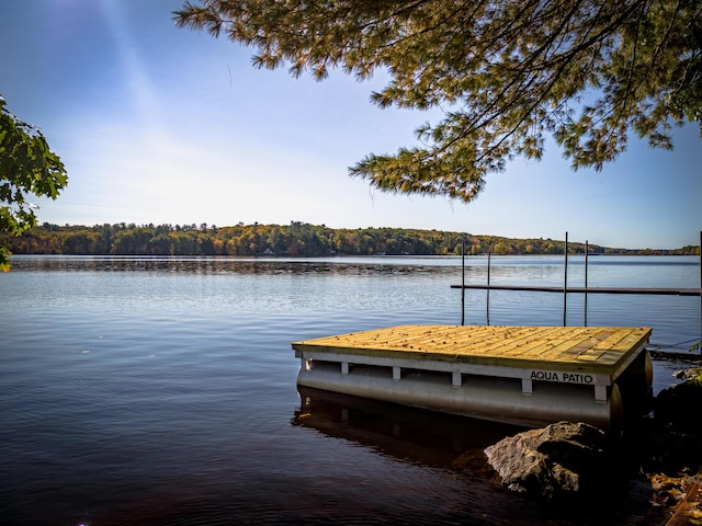 view of dock with a water view and a forest view