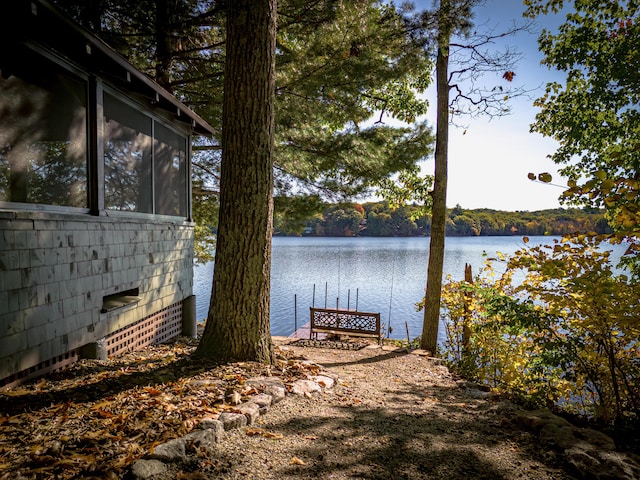 dock area with a water view