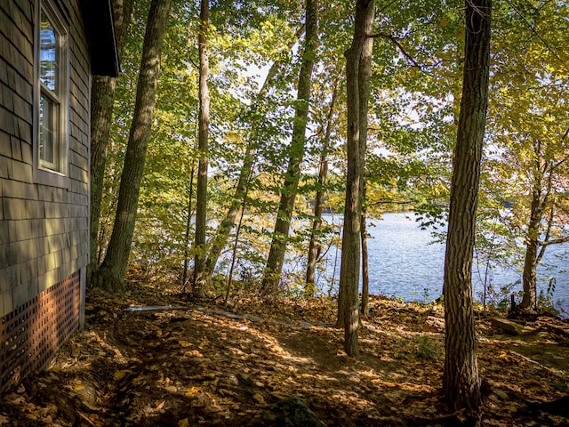property view of water
