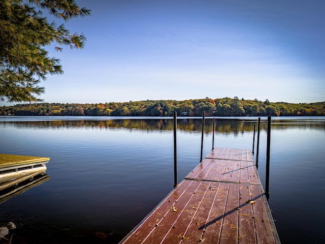 dock area with a water view and a view of trees