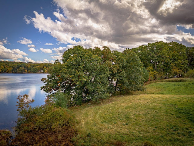 view of water feature featuring a wooded view