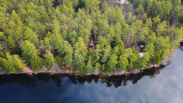 aerial view with a water view and a forest view
