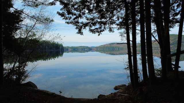 property view of water