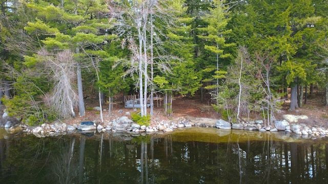 view of property's community
