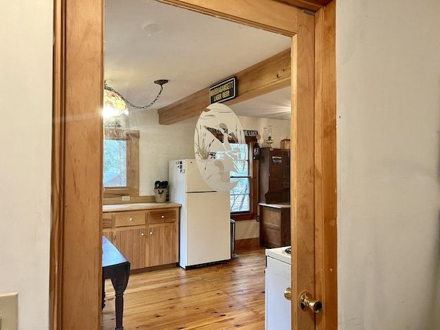 kitchen with freestanding refrigerator, brown cabinetry, a wealth of natural light, light wood-style floors, and range