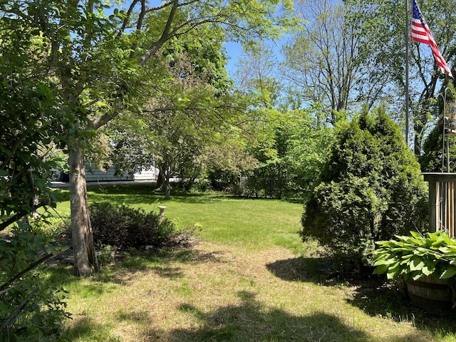 277 Pearl St, Bangor, ME 04401 - photo 6