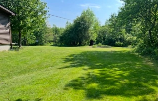 663 Eastbrook Rd, Eastbrook, ME 04634 - view of grassy yard