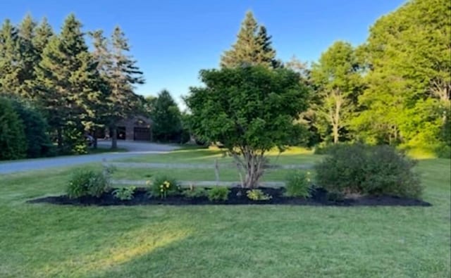 663 Eastbrook Rd, Eastbrook, ME 04634 - view of grassy yard