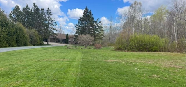 663 Eastbrook Rd, Eastbrook, ME 04634 - view of grassy yard