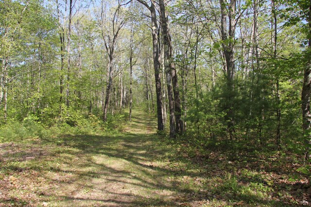 00 Knight Farm Rd, Kennebunk, ME 04043 - photo 34