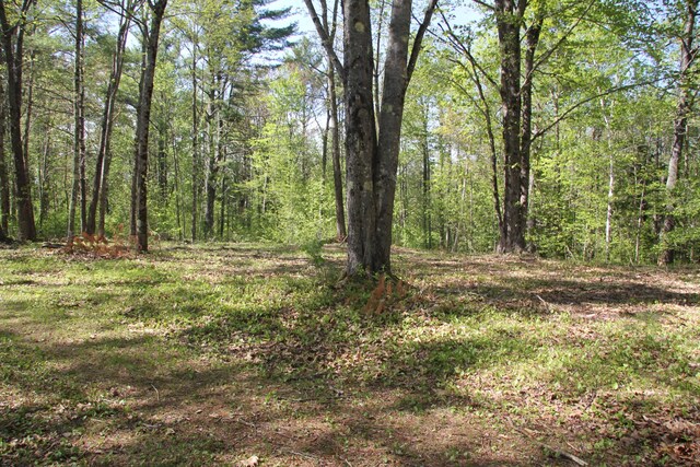00 Knight Farm Rd, Kennebunk, ME 04043 - photo 38