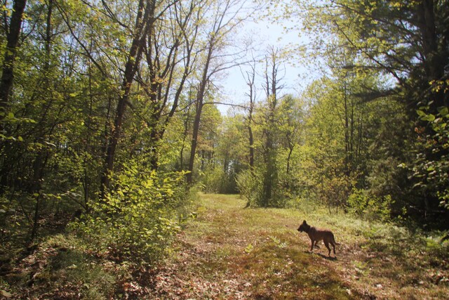 00 Knight Farm Rd, Kennebunk, ME 04043 - photo 43