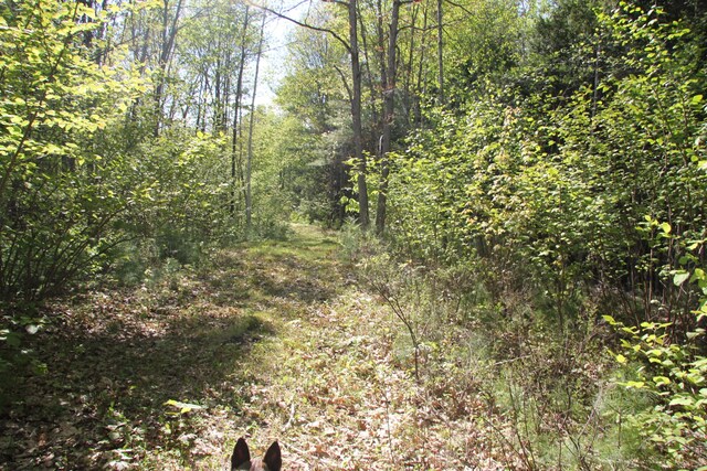 00 Knight Farm Rd, Kennebunk, ME 04043 - photo 44