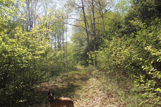 00 Knight Farm Rd, Kennebunk, ME 04043 - photo 45