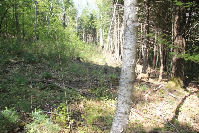 00 Knight Farm Rd, Kennebunk, ME 04043 - photo 49