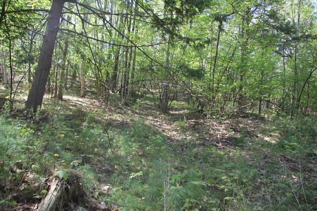 00 Knight Farm Rd, Kennebunk, ME 04043 - photo 50