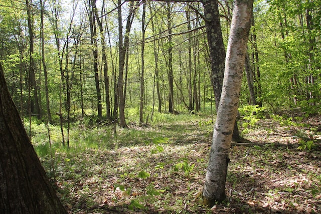 00 Knight Farm Rd, Kennebunk, ME 04043 - photo 51