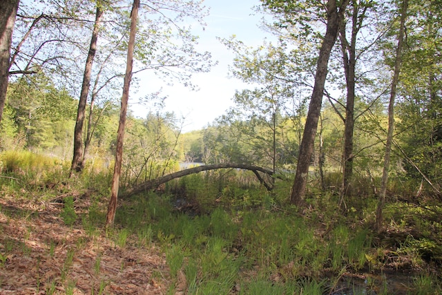 00 Knight Farm Rd, Kennebunk, ME 04043 - photo 52