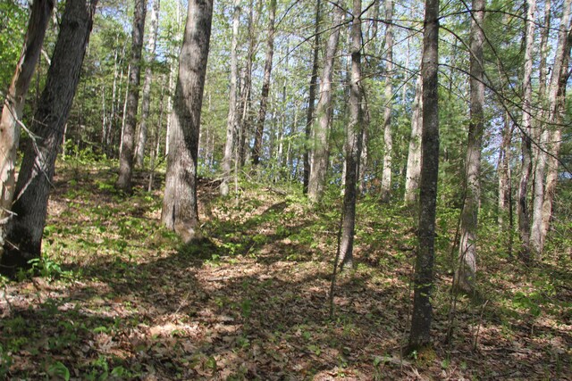00 Knight Farm Rd, Kennebunk, ME 04043 - photo 53