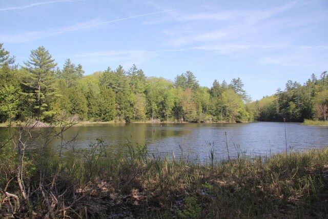 00 Knight Farm Rd, Kennebunk, ME 04043 - photo 54